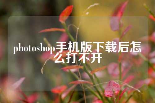 photoshop手机版下载后怎么打不开