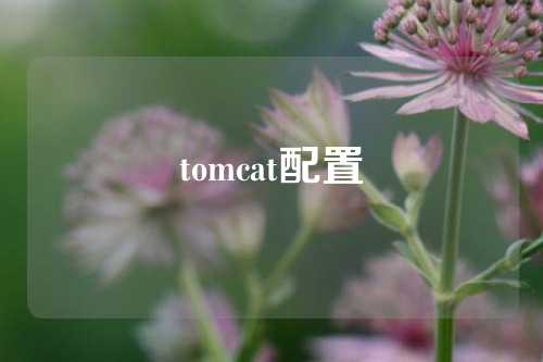 tomcat配置