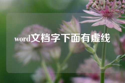 word文档字下面有虚线