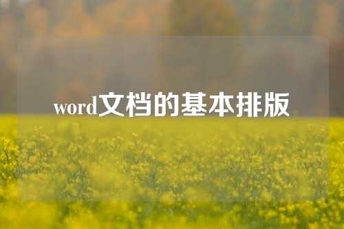 word文档的基本排版