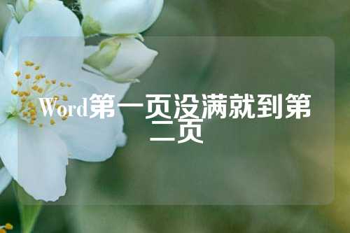 Word第一页没满就到第二页