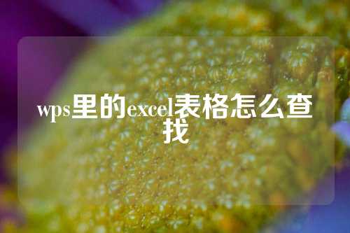 wps里的excel表格怎么查找