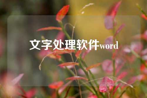 文字处理软件word