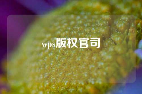 wps版权官司