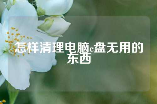 怎样清理电脑c盘无用的东西