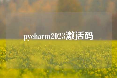 pycharm2023激活码