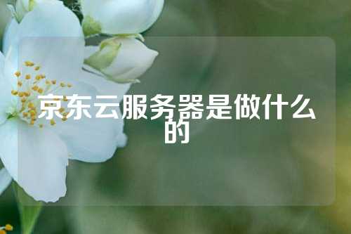 京东云服务器是做什么的