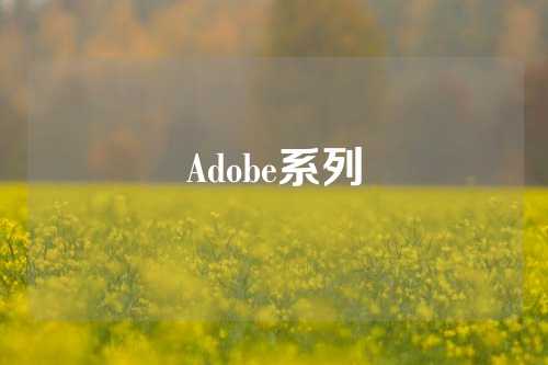 Adobe系列