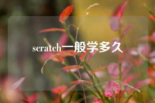 scratch一般学多久