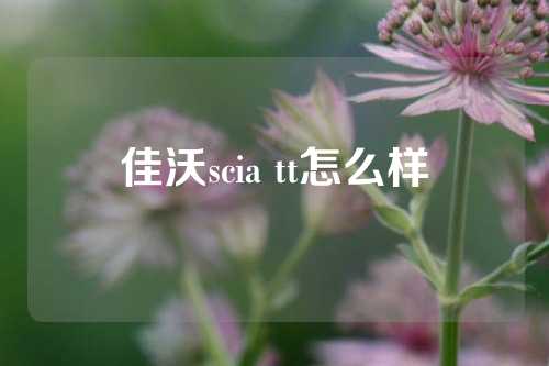 佳沃scia tt怎么样