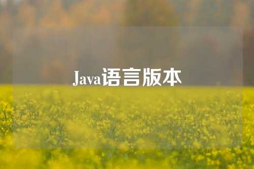 Java语言版本