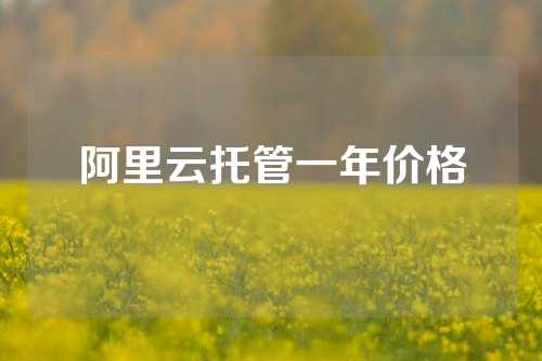 阿里云托管一年价格