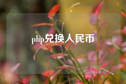 php兑换人民币