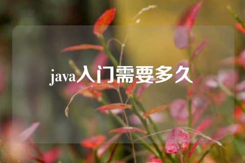 java入门需要多久