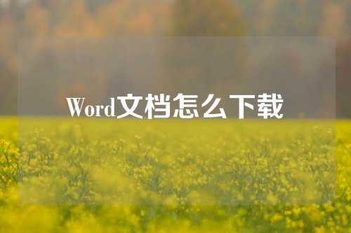 Word文档怎么下载