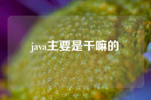 java主要是干嘛的