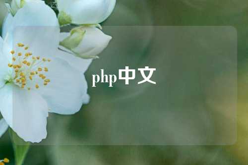 php中文