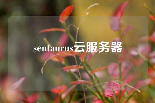 sentaurus云服务器