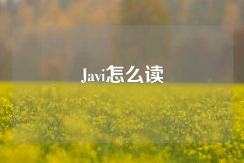 Javi怎么读