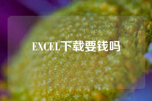 EXCEL下载要钱吗