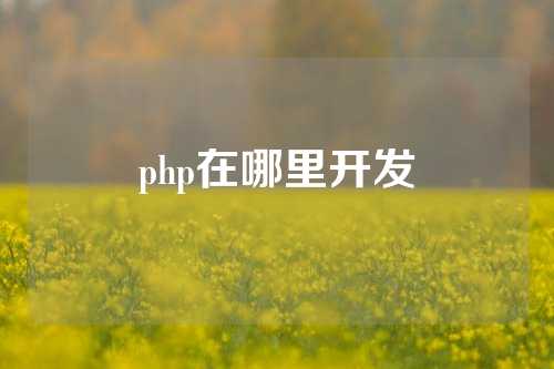 php在哪里开发