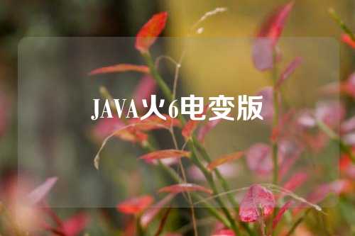 JAVA火6电变版