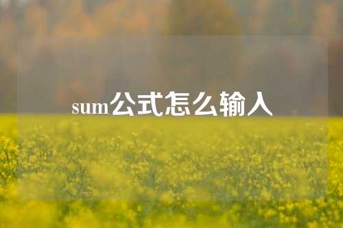 sum公式怎么输入