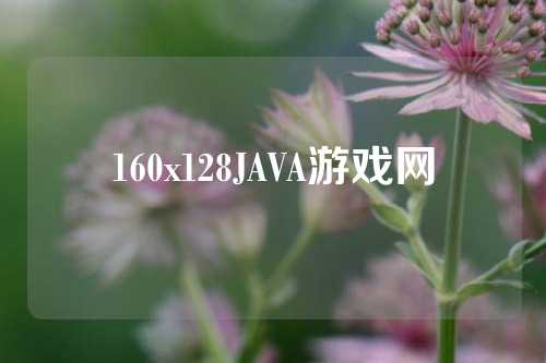 160x128JAVA游戏网