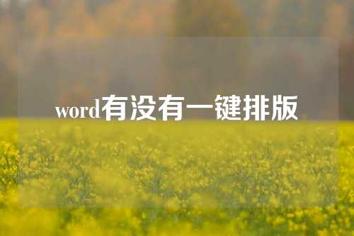 word有没有一键排版