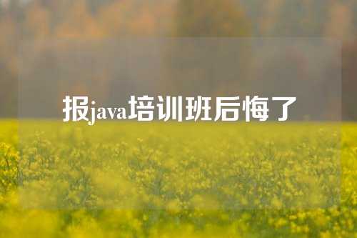 报java培训班后悔了