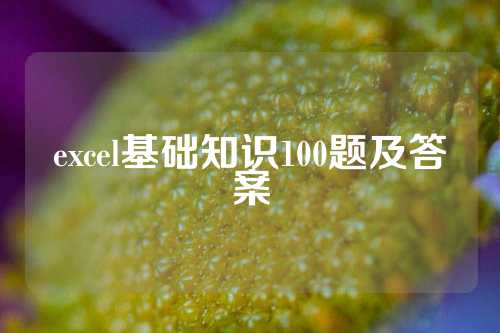 excel基础知识100题及答案