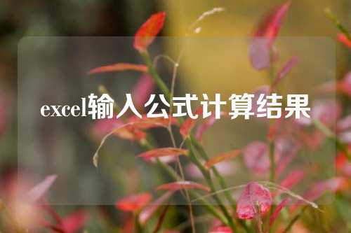 excel输入公式计算结果