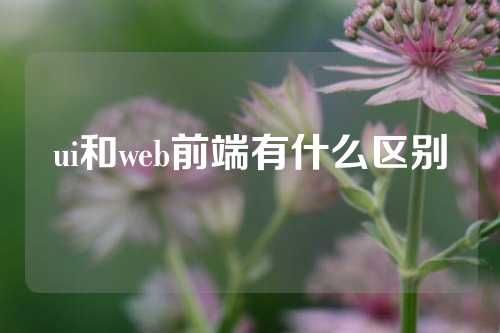 ui和web前端有什么区别