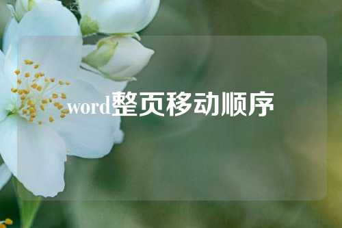 word整页移动顺序