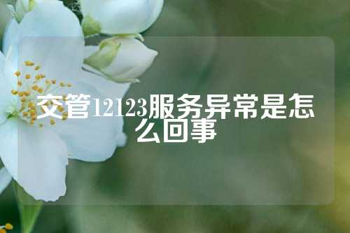 交管12123服务异常是怎么回事