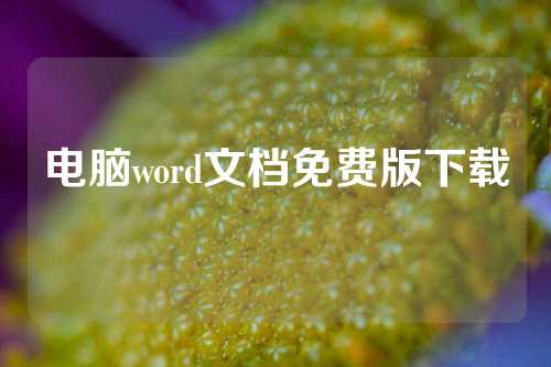 电脑word文档免费版下载