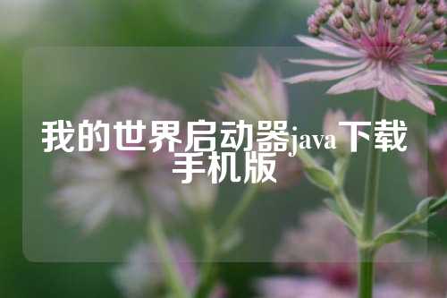 我的世界启动器java下载手机版