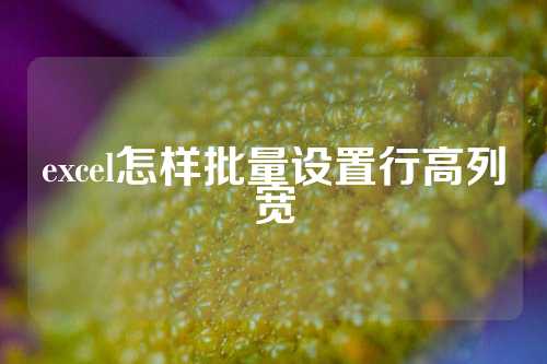 excel怎样批量设置行高列宽