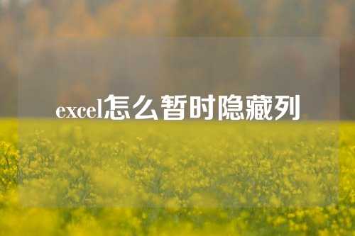 excel怎么暂时隐藏列