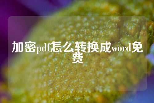 加密pdf怎么转换成word免费