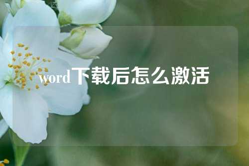 word下载后怎么激活