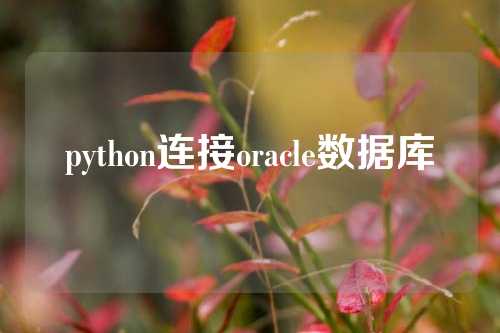 python连接oracle数据库