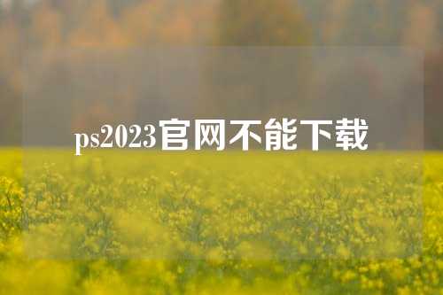 ps2023官网不能下载