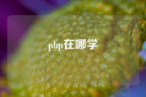 php在哪学