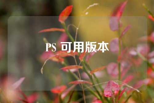 PS 可用版本