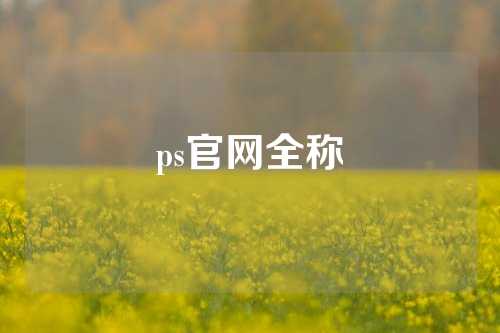 ps官网全称