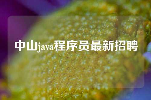 中山java程序员最新招聘