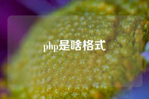 php是啥格式