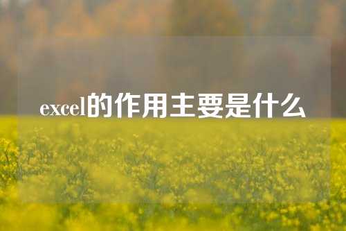 excel的作用主要是什么