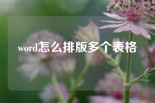 word怎么排版多个表格